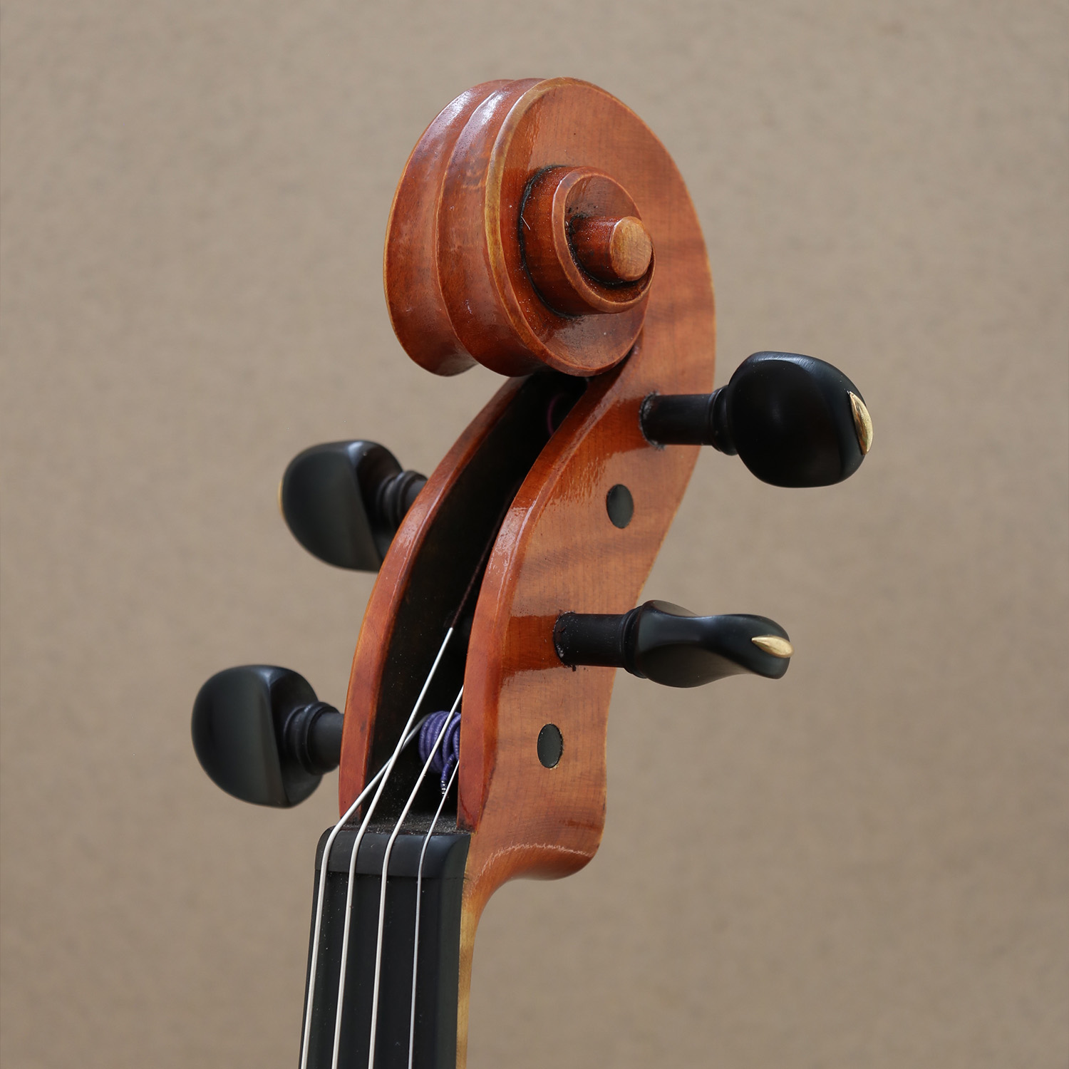 stepp-geigenbau-detail-ausstellung